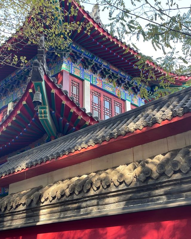 西塔閨蜜遊|煙火裡藏祈福,舒適旅居治癒時光 西塔閨蜜遊|煙火裡藏祈福,舒適旅居治癒時光