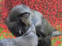 A Five-Star Day at the Tower of London
