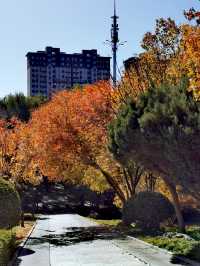 【河南省湯陰縣】毓秀園。