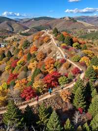 北京秋遊秘境0元紅葉山谷美哭 今年秋天別再擠香山啦!姐妹們,我最近發現了一個寶藏秘境——密雲的