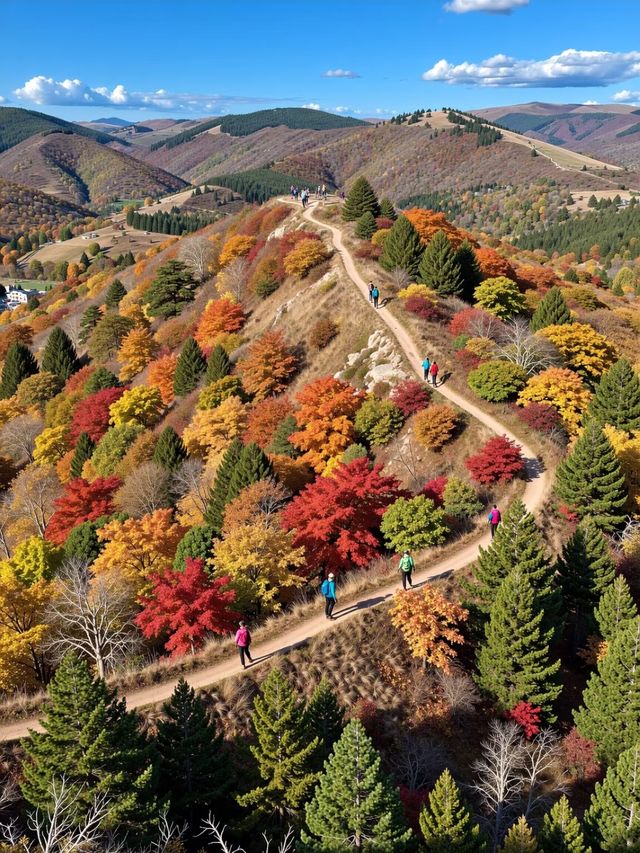 北京秋遊秘境0元紅葉山谷美哭 今年秋天別再擠香山啦!姐妹們,我最近發現了一個寶藏秘境——密雲的 北京秋遊秘境0元紅葉山谷美哭 今年秋天別再擠香山啦!姐妹們,我最近發現了一個寶藏秘境——密雲的