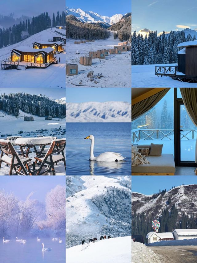 冬日伊犁必打卡點