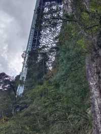 秋遊郴州4天真的不想走啦