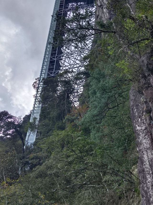 秋遊郴州4天真的不想走啦