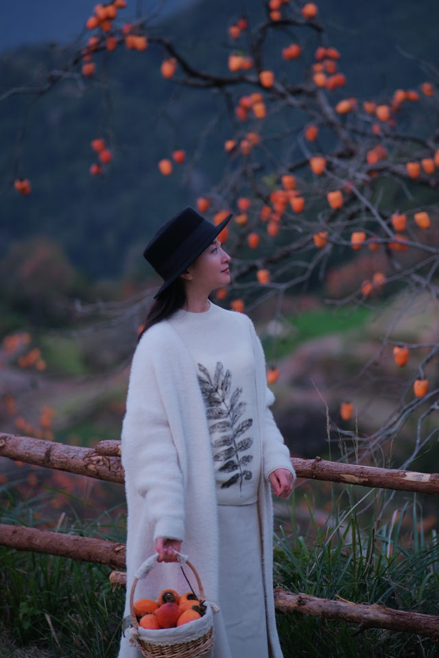 在溫州拍到了刷爆朋友圈的“柿柿”如意