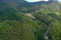 很有意思的村莊，豬頭嶺村？消失的世外桃源