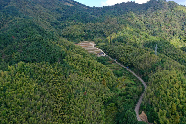很有意思的村莊，豬頭嶺村？消失的世外桃源