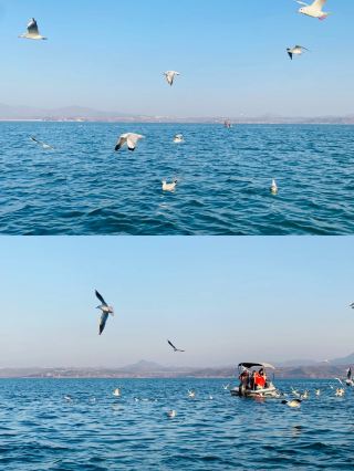 국풍 컨셉 필수 숙소! 육혼호수 옆의 시적인 거주지