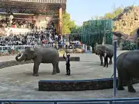 上海野生動物園的快樂