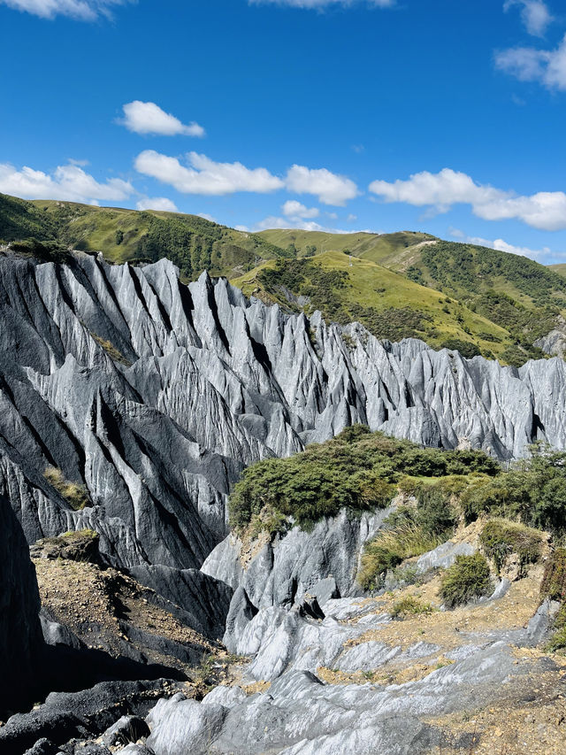 中國墨石公園！（874）