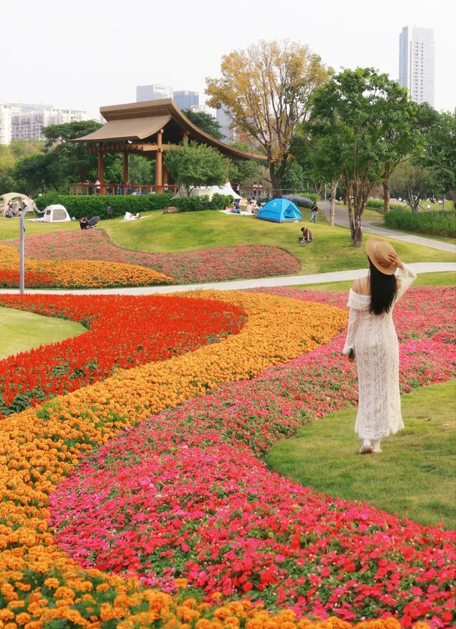 深圳地鐵直達的彩虹花海!這個公園太寶藏 深圳地鐵直達的彩虹花海!這個公園太寶藏