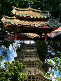 放棄三亞了！ 帶爸媽去泉州才是避寒天花板