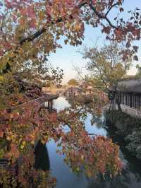 在鹽官,遇見江南最絢爛的深秋