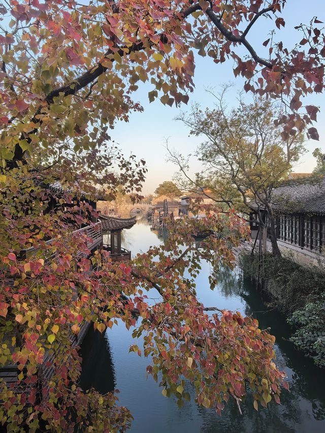 在鹽官,遇見江南最絢爛的深秋 在鹽官,遇見江南最絢爛的深秋