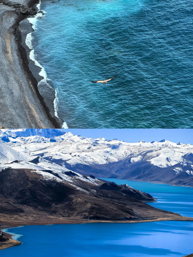 冬天的西藏才是隱藏的神級體驗