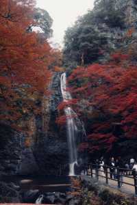 箕面公園|紅葉|箕面の滝
