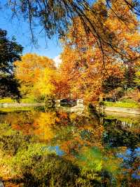 上海楊浦免費賞秋地