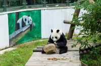 溧陽瘋狂動物城開啟奇遇