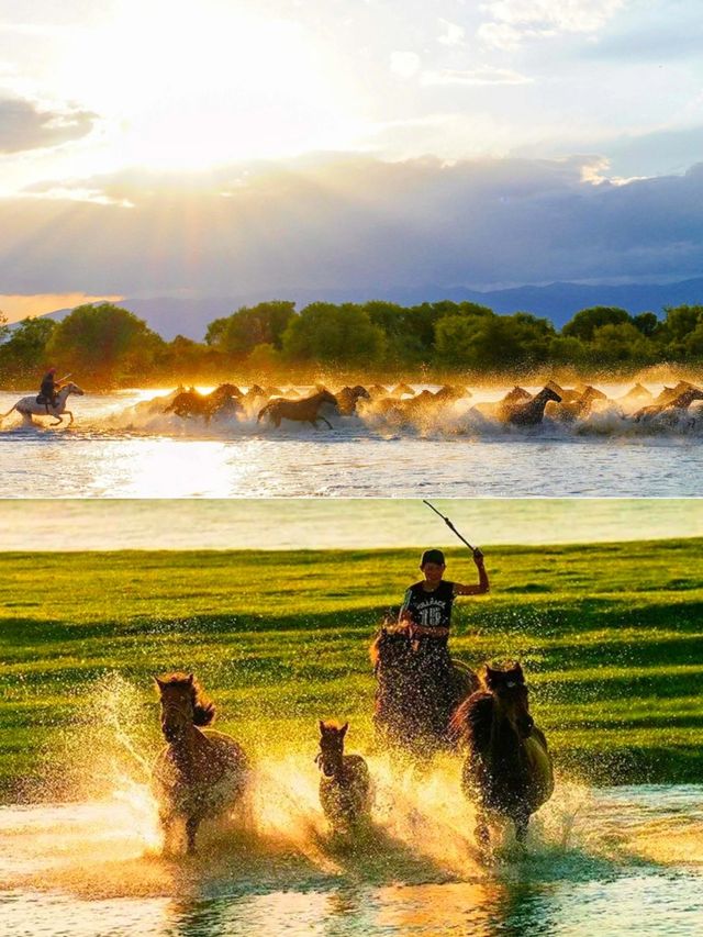 天馬浴河觀景全攻略 天馬浴河觀景全攻略