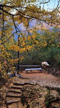銀杏樹下慢時光,德化丁榮村