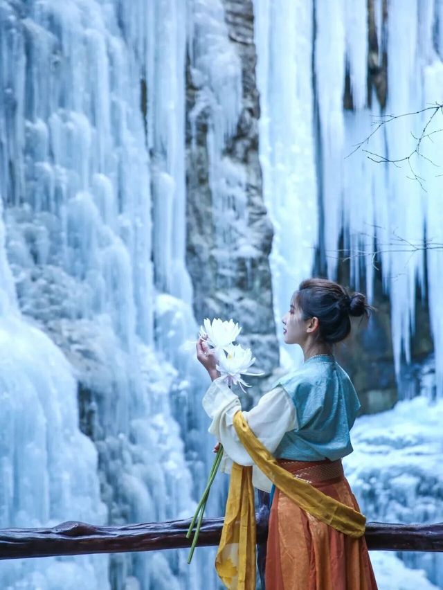 2025年這個冬天和喜歡的人一同來雲台山玩啦！