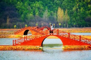 Queshan Travel Guide