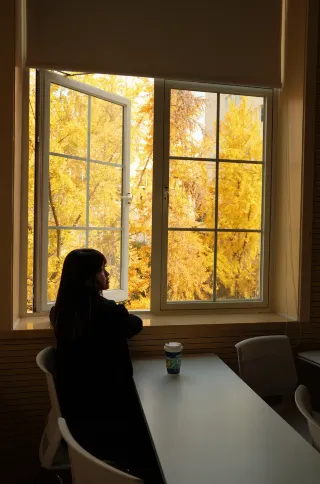 成電沙河・最も美しいイチョウの窓景色