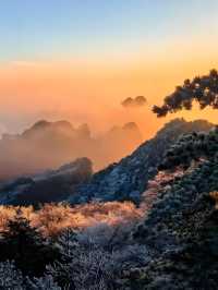 總要來趟黃山吧登上雲端,邂逅中國最美日出!