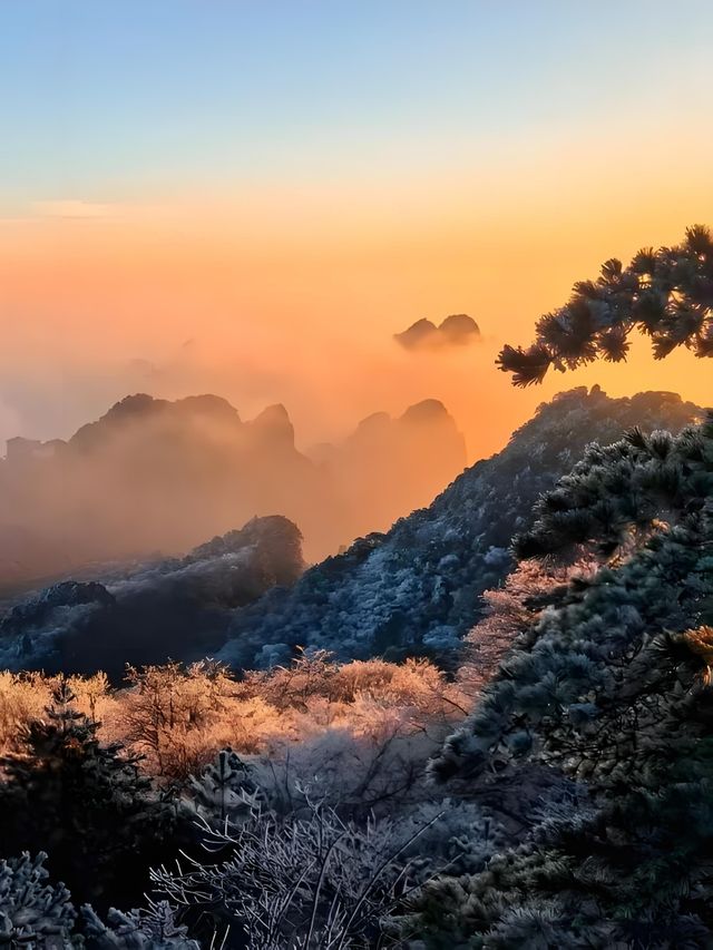 總要來趟黃山吧登上雲端,邂逅中國最美日出! 總要來趟黃山吧登上雲端,邂逅中國最美日出!