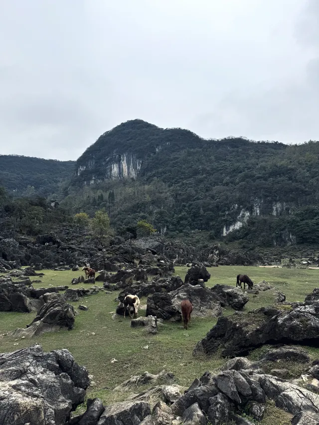 安順徒步天花板,被問爆的野趣攻略 安順徒步天花板,被問爆的野趣攻略