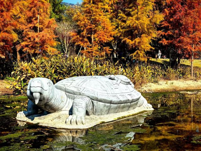 楓葉紅了必打卡地標 楓葉紅了必打卡地標