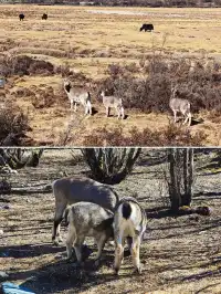 三刷稻城亞丁,終於遇見了它的巔峰時刻