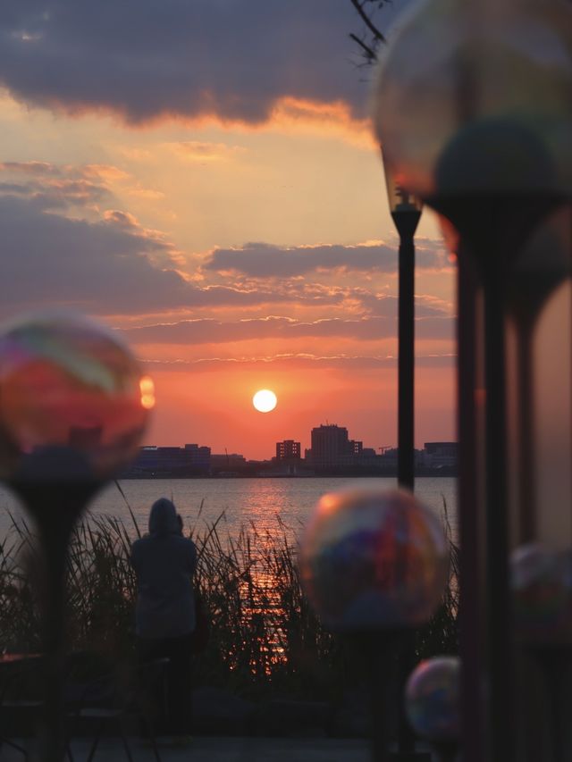 魔都落日秘境滴水湖懸日最佳打卡機位大公開! 魔都落日秘境滴水湖懸日最佳打卡機位大公開!