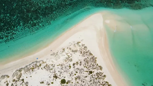 被譽為「海底熱帶雨林」-澳大利亞大堡礁