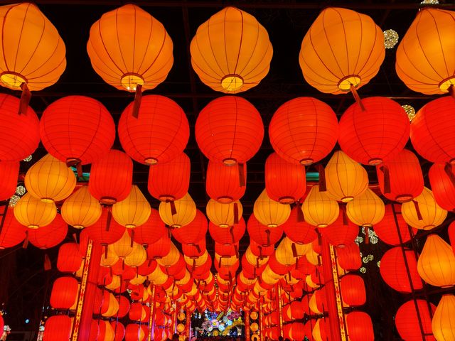 昆明大觀公園新春燈會(八) 昆明大觀公園新春燈會(八)