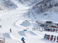 Northeast China Skiing: Powder Paradise & Ice-Fire Adventures You Can’t Miss!