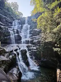 自駕分享: 武夷山國家公園一號風景道