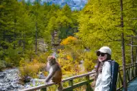 把屏保當成現實｜稻城亞丁到底有多震撼