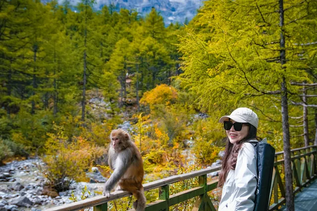 把屏保當成現實｜稻城亞丁到底有多震撼