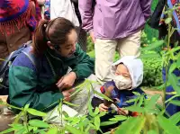 西雙版納+普洱6天5晚旅遊攻略(輕鬆版)