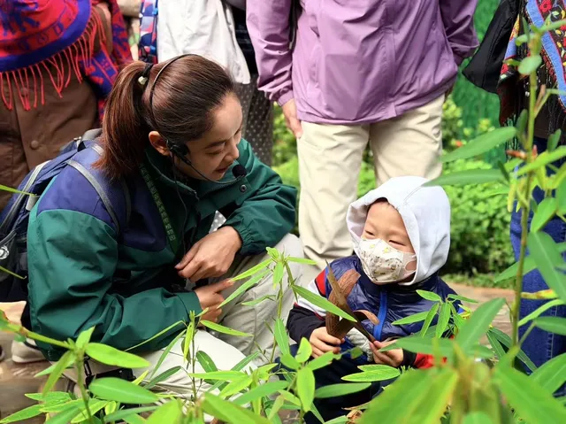 西雙版納+普洱6天5晚旅遊攻略(輕鬆版) 西雙版納+普洱6天5晚旅遊攻略(輕鬆版)