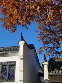 說走就走！九華山之旅