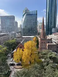 12.4外灘聖三一堂銀杏季已到附隱藏機位