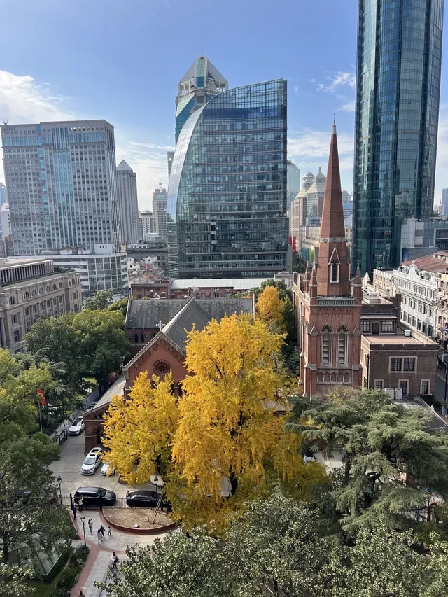 12.4外灘聖三一堂銀杏季已到附隱藏機位 12.4外灘聖三一堂銀杏季已到附隱藏機位