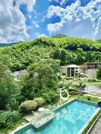 竹海環抱莫干山去了還想去的山間民宿