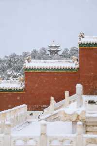 瀋陽故宮的雪太絕了!冬日限定版紅牆白雪,美到窒息!
