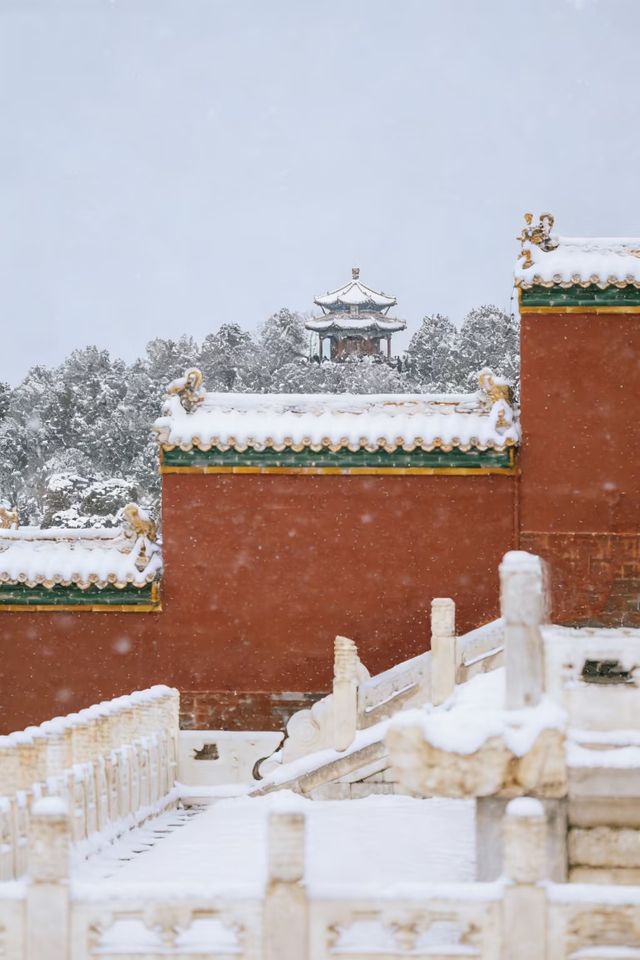 瀋陽故宮的雪太絕了!冬日限定版紅牆白雪,美到窒息! 瀋陽故宮的雪太絕了!冬日限定版紅牆白雪,美到窒息!