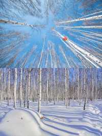 今年做過蕞瘋狂的事情，去了中國蕞北-漠河