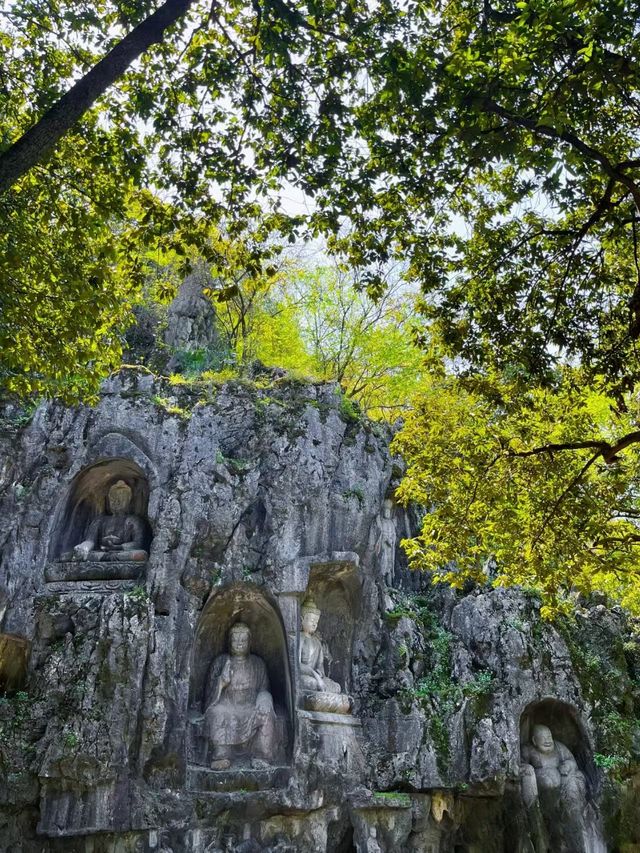 與孩子/家人解鎖江南詩意！