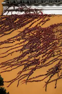 普陀山，來了就好越來越好越好越來